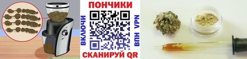 наркотики  Макушино  Еда ТГК марихуана 