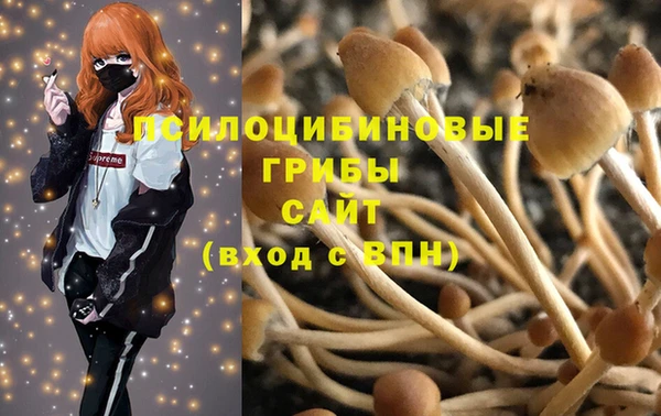 ГАЛЛЮЦИНОГЕННЫЕ ГРИБЫ Арсеньев