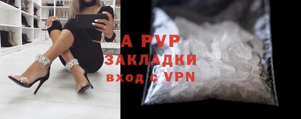 индика Новодвинск