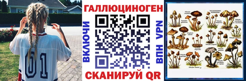 omg как войти  Макушино  Галлюциногенные грибы Cubensis 